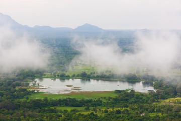 Jungle in Sri Lanka. Tropical rainforest with fog and clouds.