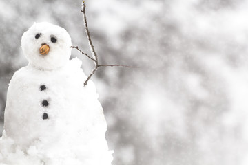 Snowman on winter background. Merry Chrismas card