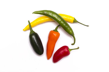 Chili peppers isolated on white background