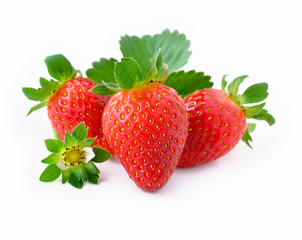 Fresh red berry strawberry fruit and leaf isolated on white background.