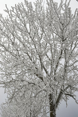séverac d'aveyron neige hiver