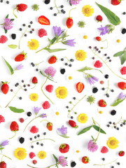 Composition pattern from plants, wild flowers and  berries, isolated on white background, flat lay, top view. The concept of summer, spring, Mother's Day, March 8. 