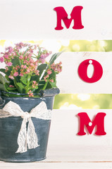 Flower pot and the word mom - The word mom written with red paper letters and pinned to a white fence and flowers in a flowerpot in shape of a bucket, with lace ribbon and bow.