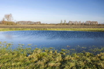 Meadow flooded with water, plowed field, trees and blue sky