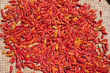 Fototapeta premium red chills in basket on the ground