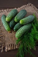 cucumber harvest on wooden surface