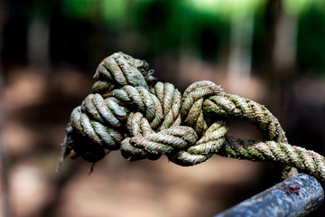 old rope on wooden pole in the garden