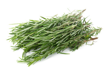 rosemary isolated on white