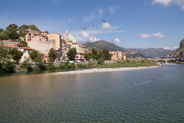 ventimiglia landscape with flock of birds flying in the sky