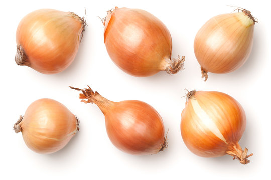 Onion Bulbs Isolated on White Background