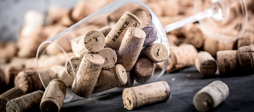 Fototapeta Wein und Champagner Korken auf dunkelem Hintergrund (Wein Konzept)