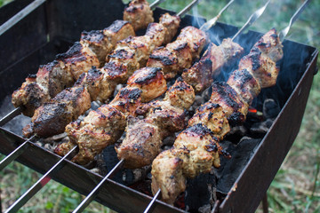 Skewers grilling on a barbecue