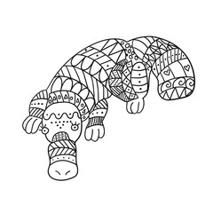 Stylized platypus isolated on white background. Freehand ornamental duckbill for children coloring book.