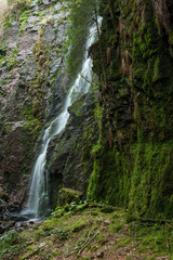 Fototapeta na wymiar Burgbachwasserfall