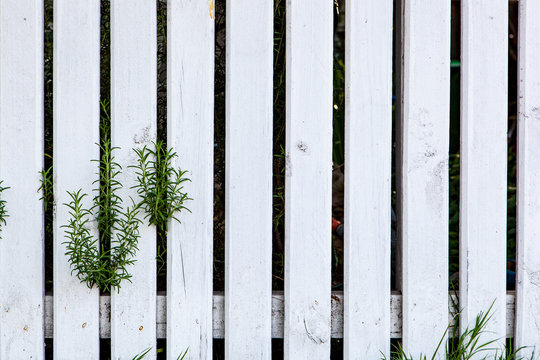 White wood texture background fence