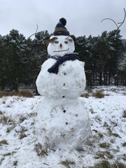 Smirk snowman 