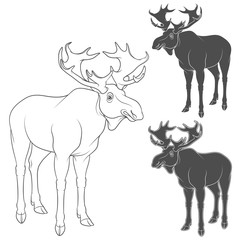 Set of black and white illustrations with moose, elk. Isolated vector objects on white background.