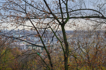 city`s green soul