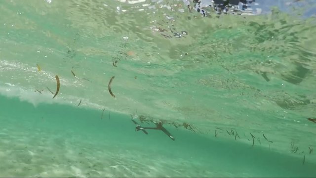 Wide angle and split underwater shot of kitesurfer riding a foil and flying over water in tropical island