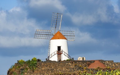 Windmill in tropical cactus garden in Guatiza village, popular attraction in Lanzarote,