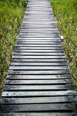 Obraz premium wooden path on rice field