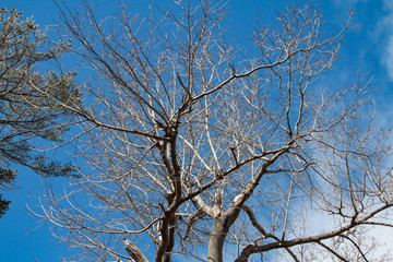 Landschaft Aufnahmen in Canada von Natur, Gebirge, Tier und Architektur