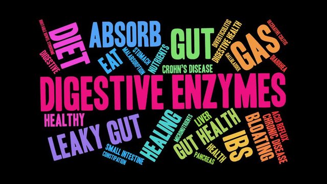 Digestive Enzymes Animated Word Cloud on a Black Background. . 