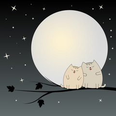 A beautiful two cute cats sit on a branch at the full moon.