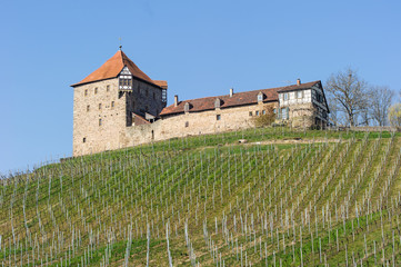 Fototapeta na wymiar Burg Wildeck bei Abstatt