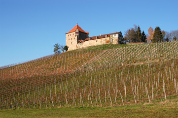 Burg Wildeck bei Abstatt