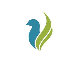Abstract Beautiful Bird Modern Logo Symbol Vector for your Company