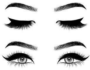 Hand-drawn woman's sexy makeup look with perfectly perfectly shaped eyebrows and extra full lashes. Idea for business visit card, typography vector.Perfect salon look