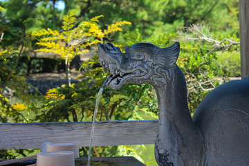 Dragon in Japanese temple