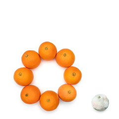 Bad out of the circle