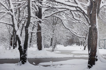 Snow-covered winter park and benches. Park and pier for feeding 