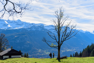 Panoramic view of lake Brienz & Swiss alps from classic old red train, Brienz Rothorn Bahn during autumn season