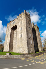 Fototapeta na wymiar Bunratty castle in Co. Clare, Ireland