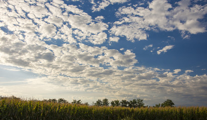 clouds in a Treviso countryside sky