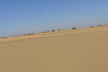 sam sand dunes in thar desert jaisalmer rajasthan india