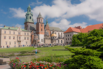 Fototapeta na wymiar Castello del Wavel a Cracovia