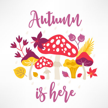 Autumn greeting card with mushroom, leaves, flower, branches