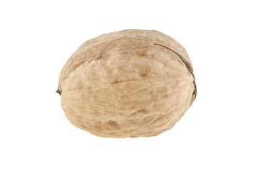walnut isolated on white background