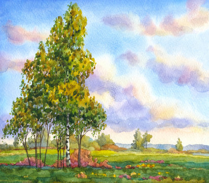 Watercolor landscape. The trees in the evening field