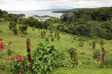 Landschaft und Tieraufnahmen in Costarica