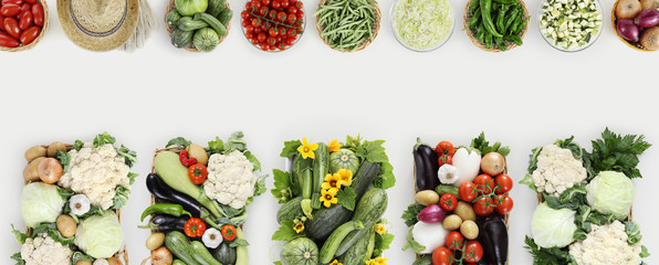 vegetables top view on kitchen white table, web banner copy space template