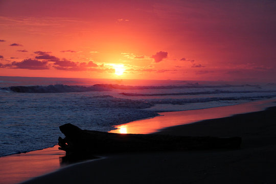 Landschaft und Tieraufnahmen in Costarica