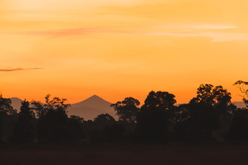 Silhouette forest and sawanna in Sunrise.