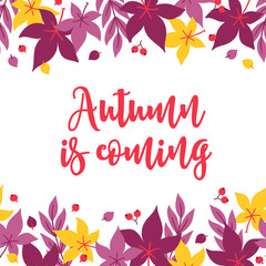 Autumn greeting card with berry, branches and maple leaves