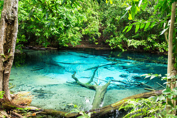 Blue Pool at the Emerald Pool, Krabi, Thailand.