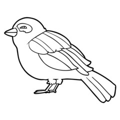 cartoon bird